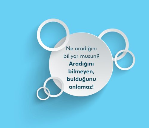 aradigin aradigin
